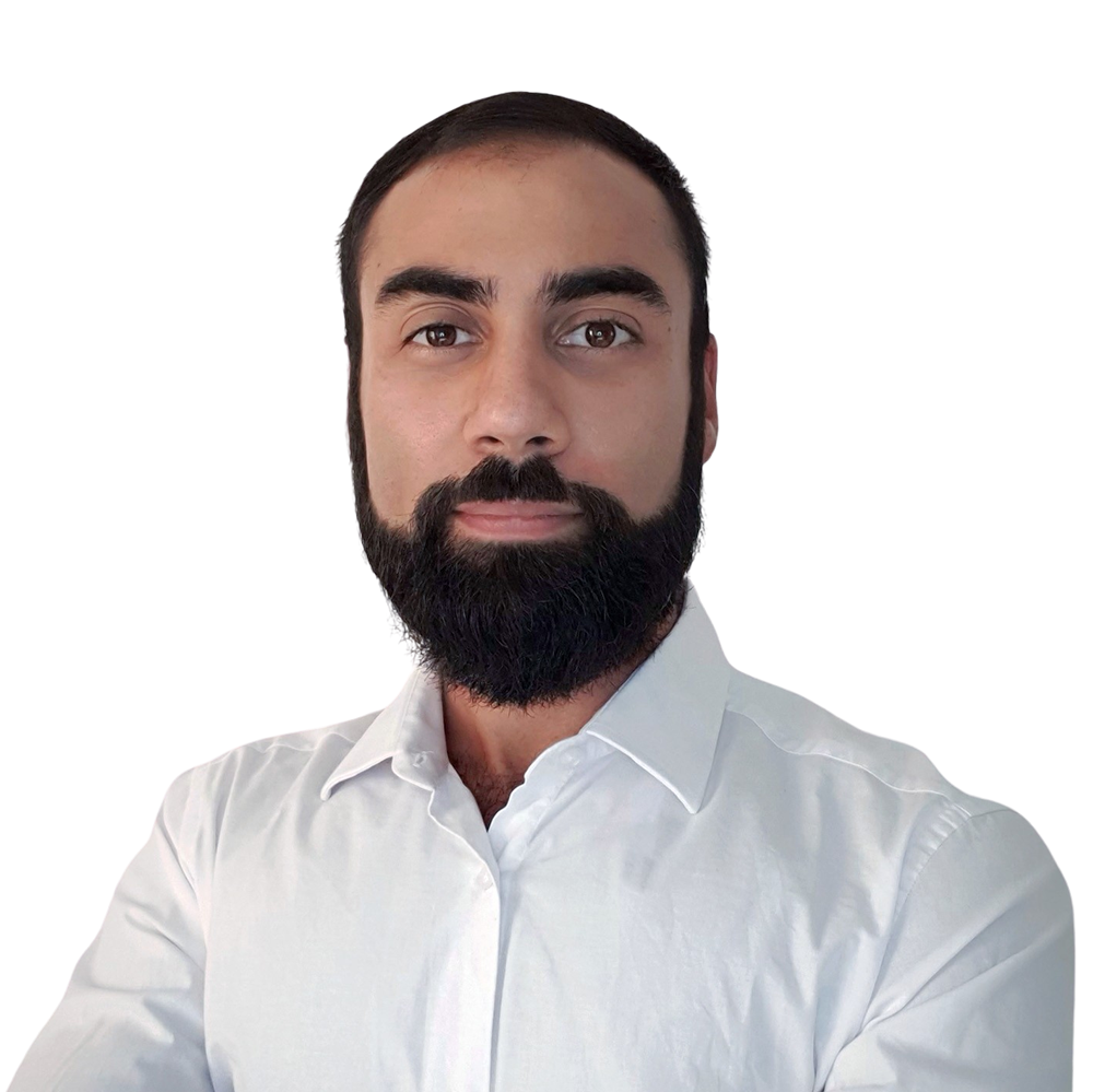 Lorenzo Reale, Power BI consultant